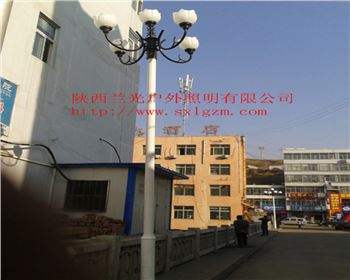 中華燈-陜北道路照明項(xiàng)目